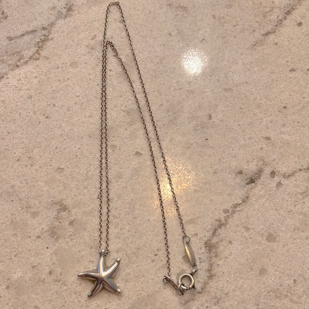 Tiffany&Co Star Pendant and Sterling Silver Tiffany&Co Sterling Silver Chain